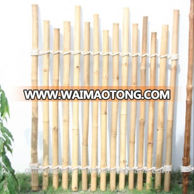 Bamboo Fencing - Vietnam Tam Vong